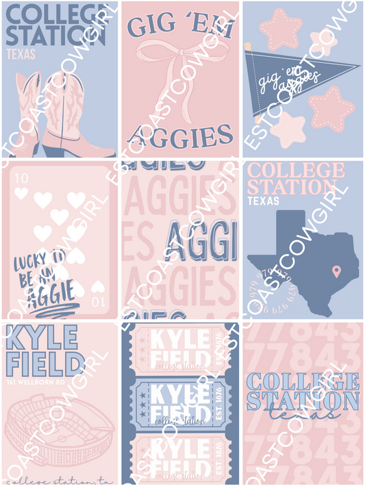 Texas A&M University, College Station