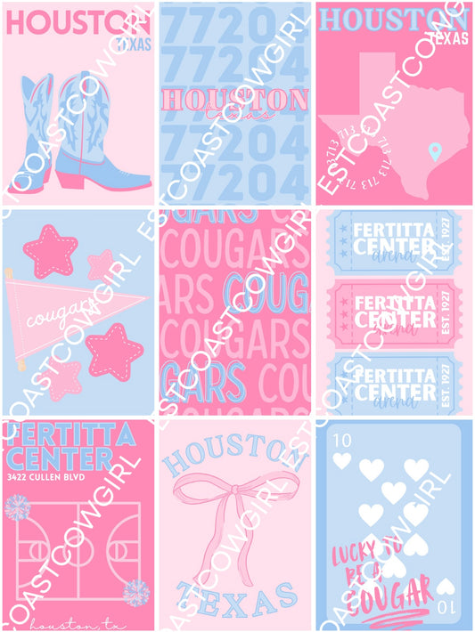 University of Houston, Houston