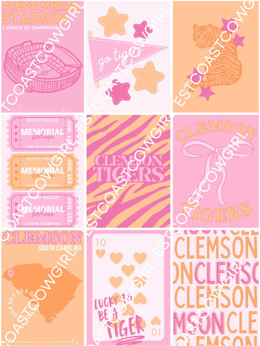 Clemson University, Clemson